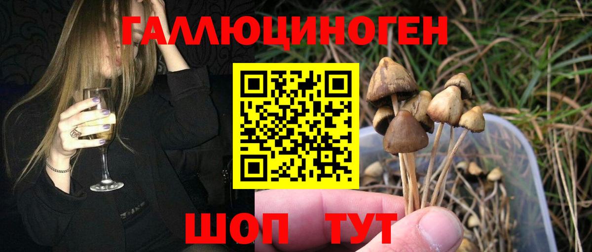 наркошоп  Вход с VPN  Коммунар  Псилоцибиновые грибы мухоморы 